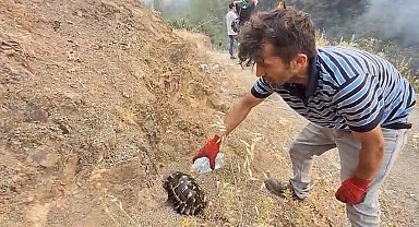 Bursa'daki yangın bölgesi dronla görüntülendi