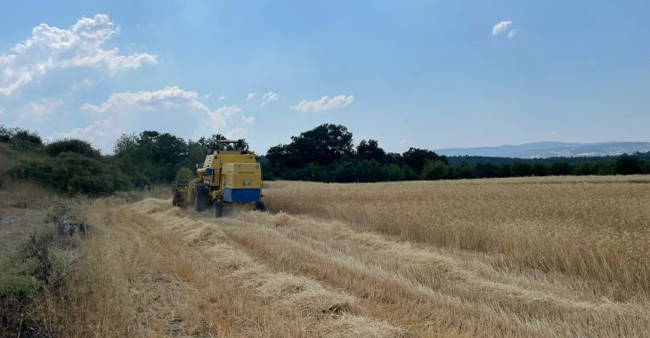 Büyükşehir'den kırsaldaki üreticilere biçerdöver desteği