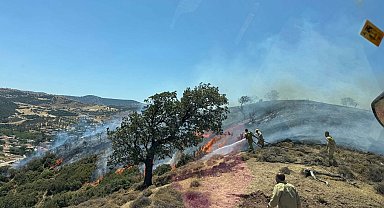 Çanakkale'de maki yangını