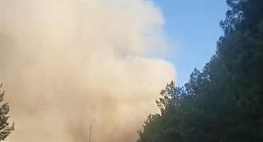 Çanakkale'de orman yangını; Kaz dağlarındaki köy yolları ulaşıma kapatıldı