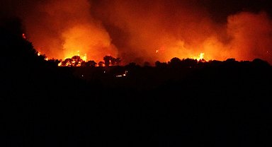 Çanakkale'de orman yangını