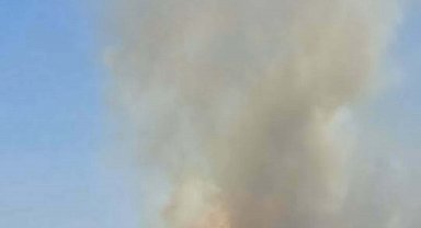 Çanakkale'de tarım arazisinde yangın