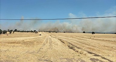 Çanakkale'de tarım arazisinde yangın