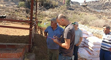 Çanakkale'deki orman yangını 21 saat sonra kontrol altında; yanan alanlar dronla görüntülendi