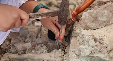 Çankırı'da Çorakyerler Omurgalı Fosil Lokalitesi'nde 2025 kazıları başladı