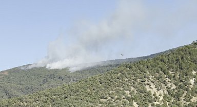 Çankırı'da orman yangını