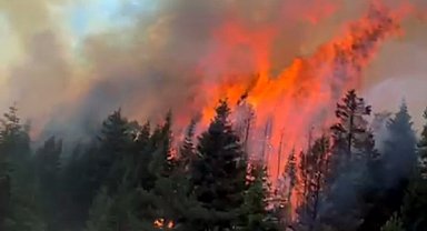 Çankırı'da orman yangını