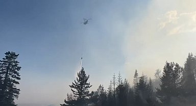 Çankırı'da orman yangını