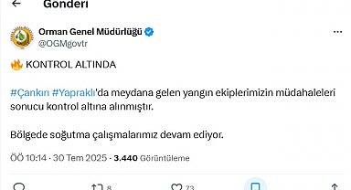 Çankırı'daki orman yangını kontrol altında