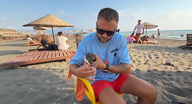 Cankurtaran, nesli tehlike altındaki yelkovan kuşunu kurtardı