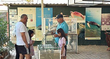 Caretta caretta müzesine ilgi