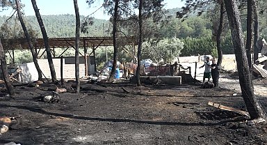 Çiftliğinde çıkan yangında 95 hayvanı öldü