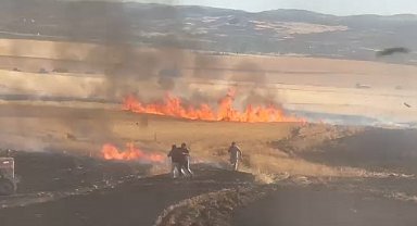 Çorum'da buğday tarlasındaki yangında 30 dönüm alan zarar gördü