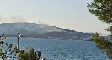 Cunda Adası'nda orman yangını