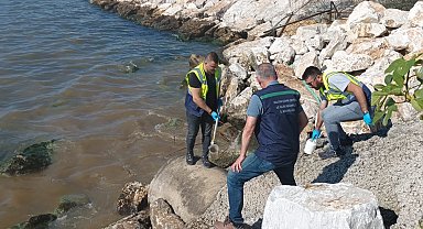 Denize kanalizasyon deşarj eden Yalova Belediyesi'ne 1,3 milyon lira ceza