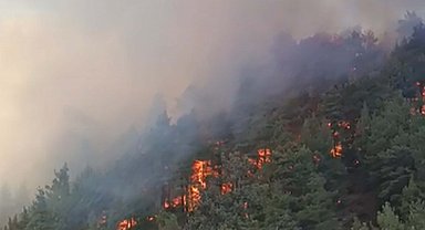 Denizli'de orman yangını