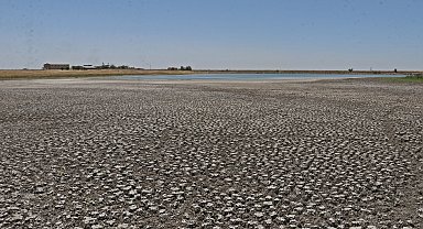 Diyarbakır'da 150'den fazla türe ev sahipliği yapan 'kuş cenneti'nde kuraklık tehdidi