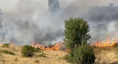 Diyarbakır'da örtü yangınına ekiplerin müdahalesi sürüyor