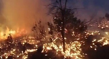 Diyarbakır'da örtü yangınları söndürüldü