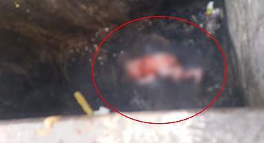 Doğurup çöp konteynerine attığı bebeği esnaf fark etti; anne gözaltında