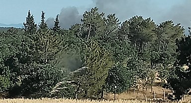 Edirne'de çıkan orman yangını söndürüldü