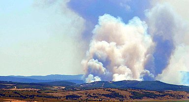 Edirne'de orman yangını