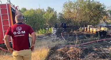 Elazığ'da anız yangını; arı kovanları ve ağaçlar zarar gördü