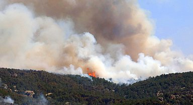 Eskişehir'de çıkan orman yangını, 3'üncü günde Afyonkarahisar'da sürüyor
