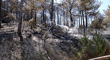 Eskişehir'de çıkıp, Afyonkarahisar'a sıçrayan yangın kontrol altında