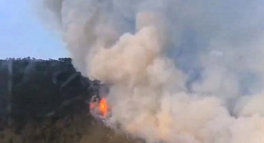 Eskişehir'de orman yangını