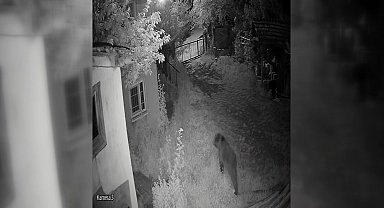 Evin bahçesine giren ayı kamerada