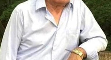 Giresun'da arı sokan çiftçi öldü