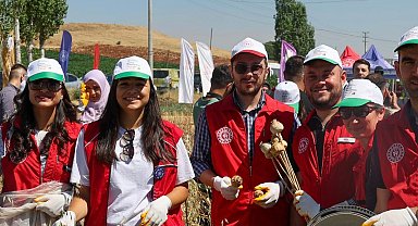 Gönüllü gençler hasat için tarım alanlarında