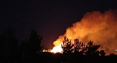 Hatay'da makilik yangını kısa sürede söndürüldü