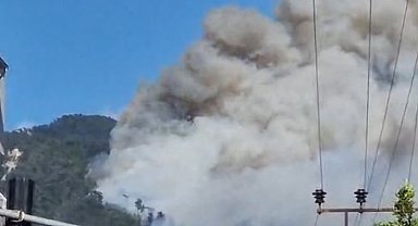 Hatay'da orman yangını