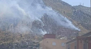 Hatay'da orman yangını