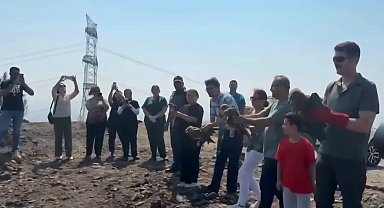 Hatay'da tedavisi tamamlanan 11 yabani kuş doğaya salındı