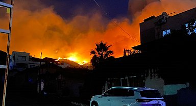 Hatay'daki orman yangınına ilişkin 1 gözaltı