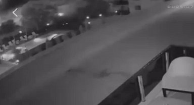 Havai fişek atıp yangın çıkaran 2 kişi, 100'er adet ağaç dikecek