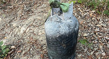 Hendek'te orman yangını kontrol altına alındı: 2 gözaltı