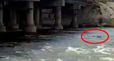 İddia üzerine köprüden Kızılırmak'a atlayan genç kayboldu