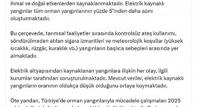 İletişim Başkanlığı: Elektrik kaynaklı orman yangınları oranı yüzde 5'ten az