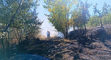 İnegöl'de anız yangını ormana sıçradı
