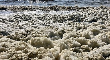İskenderun Körfezi'nde köpüklenme: Fitoplankton patlaması yaşanıyor, müsilajla karıştırılmamalı