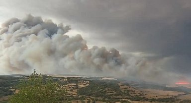 İspanya'da orman yangını: 2 ölü
