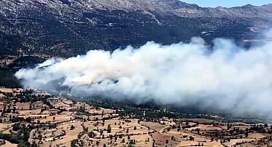 Isparta'da orman yangını