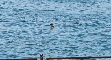 İstanbul - Adil Tek: 'İstanbul'da sıcaklığın 43-44 dereceye çıkacağını tahmin ediyoruz; sıcaklık rekoru kırılma ihtimali bulunuyor'