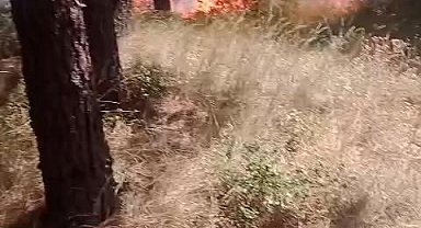 İstanbul- Aydos Ormanı'nda çıkan yangın kontrol altına alındı Geniş haber- aktüel görüntü