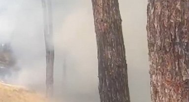 İstanbul- Bakırköy'de hastane bahçesinde çıkan yangın söndürüldü