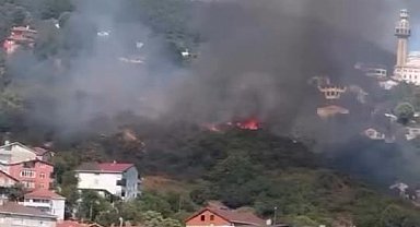 İstanbul - Beykoz'da orman yangını-1